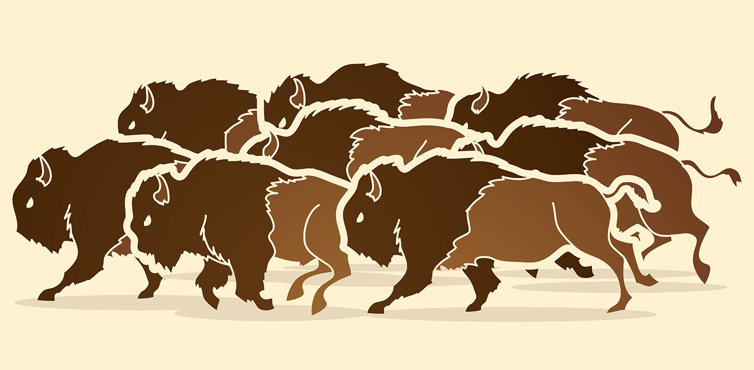 An illustration of a herd of bison, each individually silhouetted, running in the same direction, isolated on a cream background