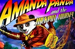 AMANDA PANDA