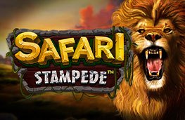 SAFARI STAMPEDE
