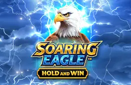 SOARING EAGLE